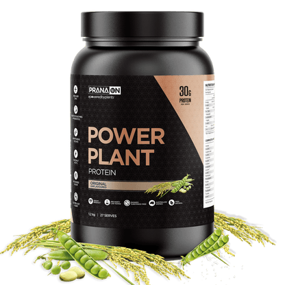 Power Plant Vegan Protein (10)